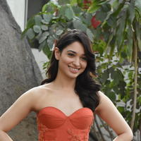 Tamanna Bhatia Cute Gallery | Picture 1269031