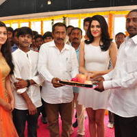 Lord Shiva Creations Productions No 1 Movie Launch Stills | Picture 1270447