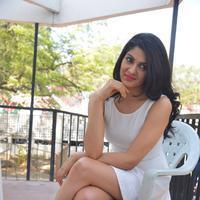 Sakshi Choudhary at Lord Shiva Creations Productions No 1 Movie Launch Photos | Picture 1270462