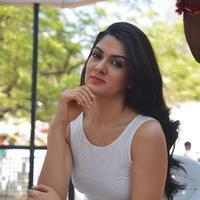 Sakshi Choudhary at Lord Shiva Creations Productions No 1 Movie Launch Photos | Picture 1270482