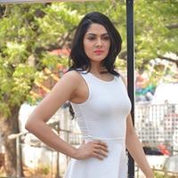 Sakshi Choudhary at Lord Shiva Creations Productions No 1 Movie Launch Photos | Picture 1270487
