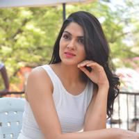 Sakshi Choudhary at Lord Shiva Creations Productions No 1 Movie Launch Photos | Picture 1270501