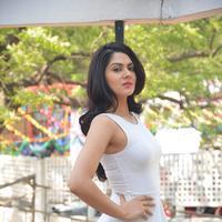 Sakshi Choudhary at Lord Shiva Creations Productions No 1 Movie Launch Photos | Picture 1270519