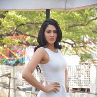 Sakshi Choudhary at Lord Shiva Creations Productions No 1 Movie Launch Photos | Picture 1270521