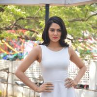 Sakshi Choudhary at Lord Shiva Creations Productions No 1 Movie Launch Photos | Picture 1270524