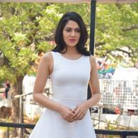 Sakshi Choudhary at Lord Shiva Creations Productions No 1 Movie Launch Photos | Picture 1270548