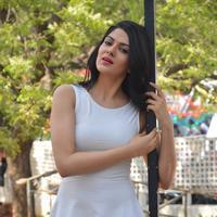 Sakshi Choudhary at Lord Shiva Creations Productions No 1 Movie Launch Photos | Picture 1270556