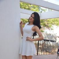 Sakshi Choudhary at Lord Shiva Creations Productions No 1 Movie Launch Photos | Picture 1270589