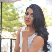 Sakshi Choudhary at Lord Shiva Creations Productions No 1 Movie Launch Photos | Picture 1270599