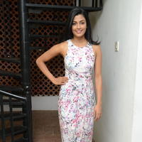 Anisha Ambrose Cute Gallery | Picture 1274716