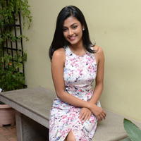 Anisha Ambrose Cute Gallery | Picture 1274785