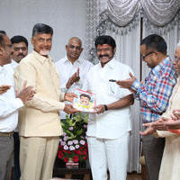 AP CM Chandrababu Releases India Today Special Issue on Balakrishna Stills | Picture 1275634