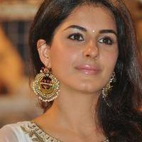 Isha Talwar New Gallery | Picture 1275673