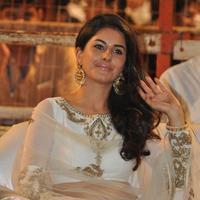 Isha Talwar New Gallery | Picture 1275695