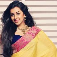 Nikki Galrani Photos | Picture 1306572