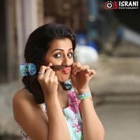 Nikki Galrani Photos | Picture 1306582