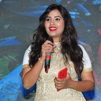 Nenu Seetha Devi Movie Audio Launch Photos | Picture 1315471