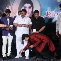 Aame Athadaithe Movie Audio Launch Photos | Picture 1427505