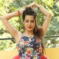 Diksha Panth New Gallery | Picture 1428022
