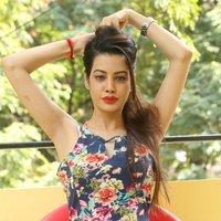 Diksha Panth New Gallery | Picture 1428023