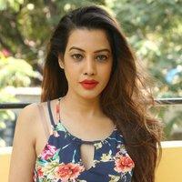 Diksha Panth New Gallery | Picture 1428025