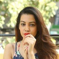 Diksha Panth New Gallery | Picture 1428026