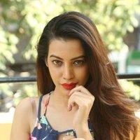Diksha Panth New Gallery | Picture 1428028