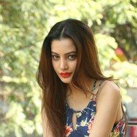 Diksha Panth New Gallery | Picture 1428029