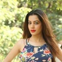Diksha Panth New Gallery | Picture 1428030