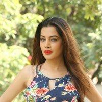 Diksha Panth New Gallery | Picture 1428032