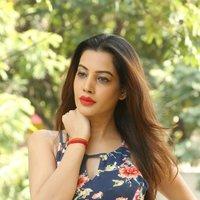 Diksha Panth New Gallery | Picture 1428033