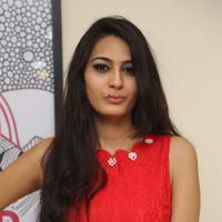 Swetha New Gallery | Picture 1411921