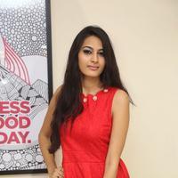 Swetha New Gallery | Picture 1411925