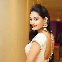 Trendz Designer Exhibition Launch at Taj Krishna | Picture 1418137