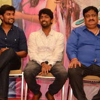 Majnu Movie Audio Success Meet Stills | Picture 1419982