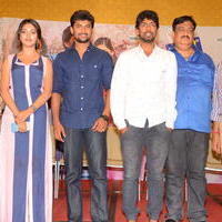 Majnu Movie Audio Success Meet Stills