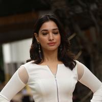 Tamanna Bhatia New Gallery | Picture 1422405