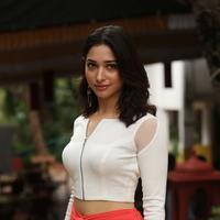 Tamanna Bhatia New Gallery | Picture 1422406