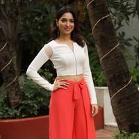 Tamanna Bhatia New Gallery | Picture 1422409