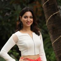Tamanna Bhatia New Gallery | Picture 1422410