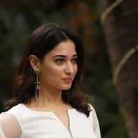 Tamanna Bhatia New Gallery | Picture 1422411