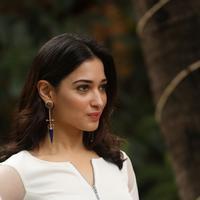 Tamanna Bhatia New Gallery | Picture 1422412