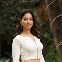 Tamanna Bhatia New Gallery | Picture 1422413