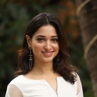 Tamanna Bhatia New Gallery | Picture 1422420
