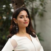 Tamanna Bhatia New Gallery | Picture 1422421