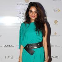 Madhoo - IBFW 2013 Day 2 Photos | Picture 658490