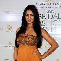 Sonal Chauhan - IBFW 2013 Day 4 Photos | Picture 659624