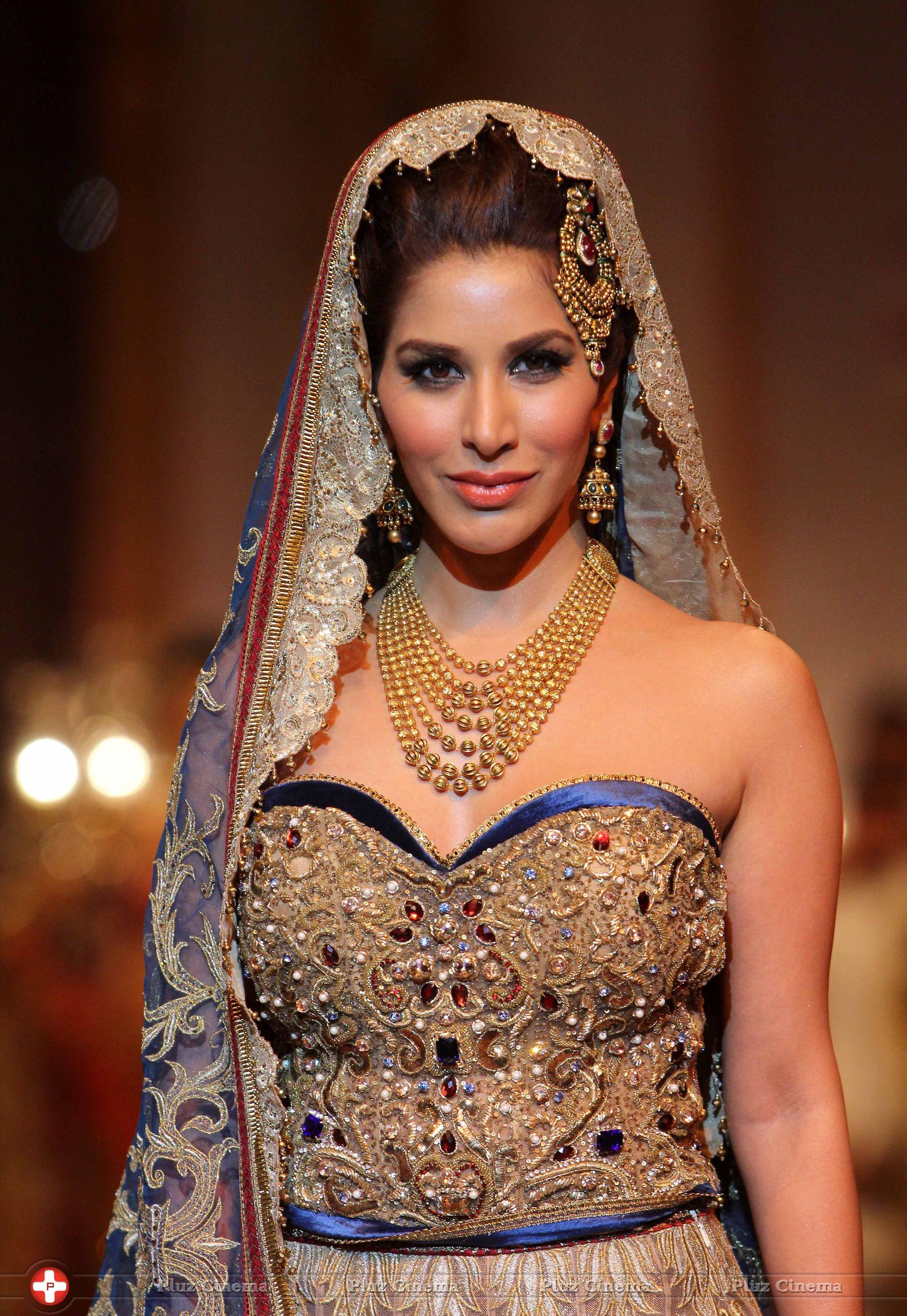 Sophie Choudry - IBFW 2013 Day 5 Photos | Picture 660768