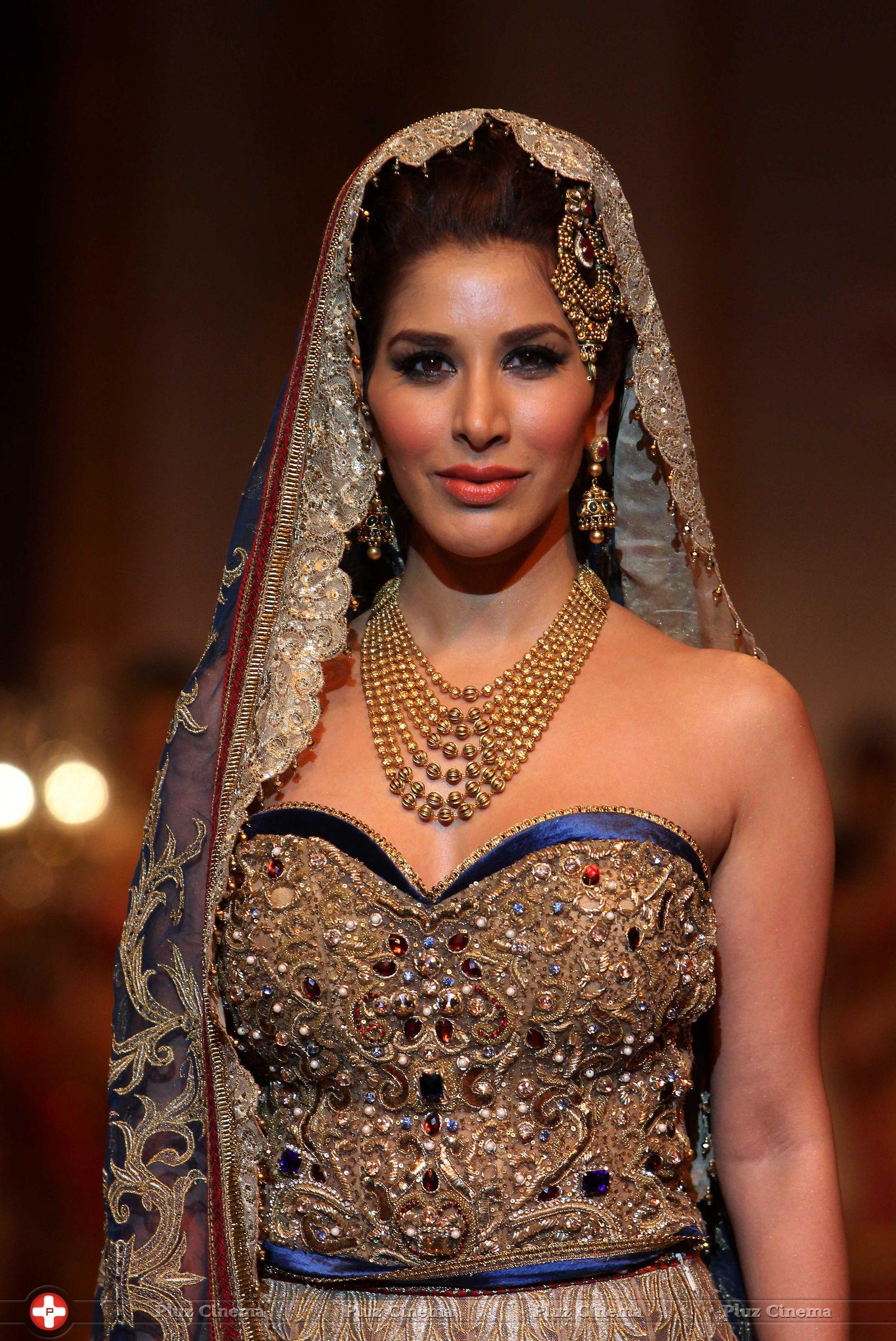 Sophie Choudry - IBFW 2013 Day 5 Photos | Picture 660769