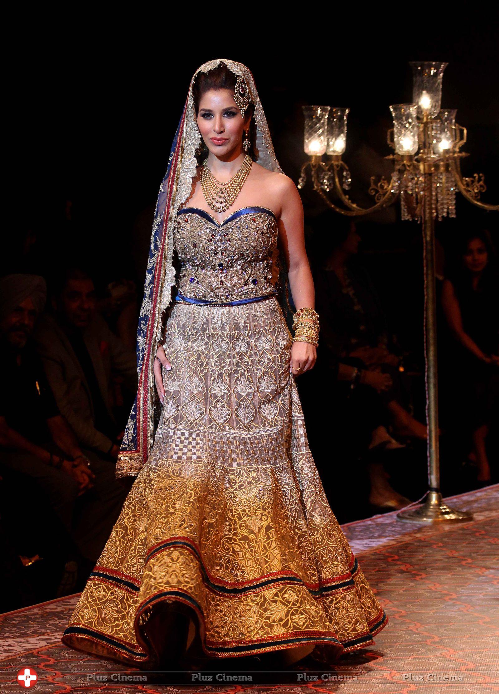 Sophie Choudry - IBFW 2013 Day 5 Photos | Picture 660788